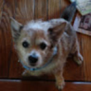 Meet your Posher, Gary